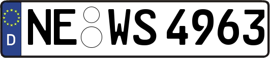 NE-WS4963