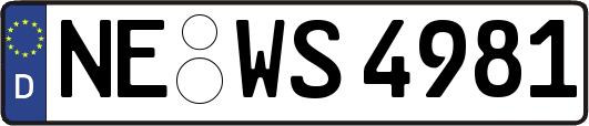 NE-WS4981
