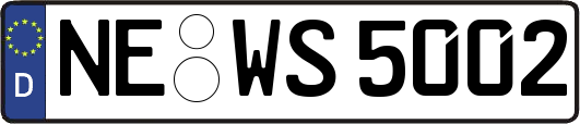 NE-WS5002