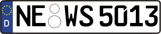 NE-WS5013