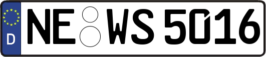 NE-WS5016