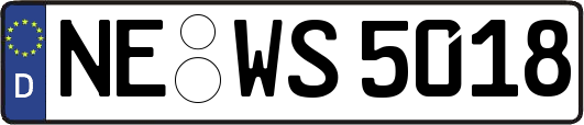 NE-WS5018