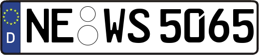 NE-WS5065