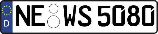 NE-WS5080