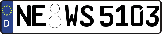 NE-WS5103