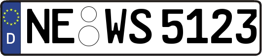 NE-WS5123