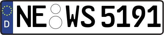 NE-WS5191