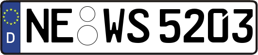 NE-WS5203