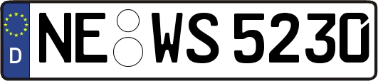 NE-WS5230
