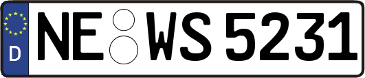 NE-WS5231