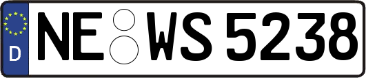NE-WS5238