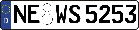 NE-WS5253