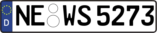 NE-WS5273
