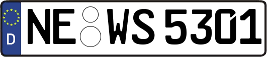 NE-WS5301
