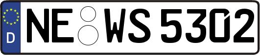 NE-WS5302
