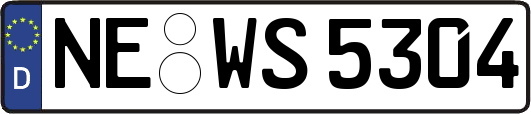 NE-WS5304