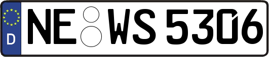 NE-WS5306