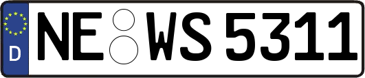 NE-WS5311