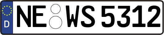 NE-WS5312