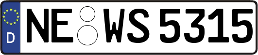 NE-WS5315