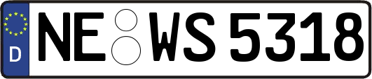 NE-WS5318