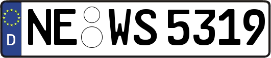 NE-WS5319