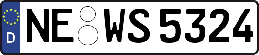 NE-WS5324