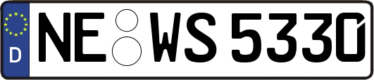 NE-WS5330