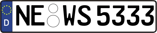 NE-WS5333
