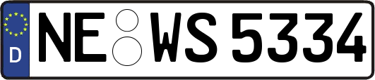 NE-WS5334