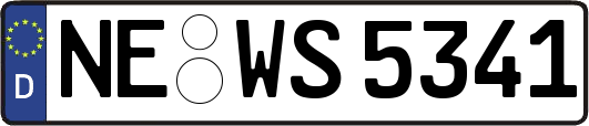 NE-WS5341