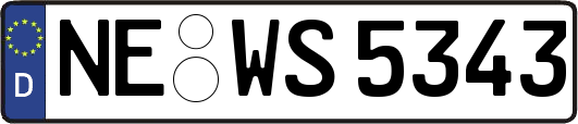 NE-WS5343