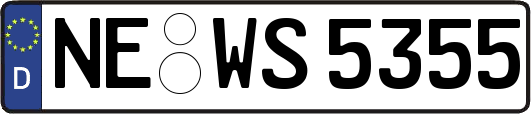 NE-WS5355