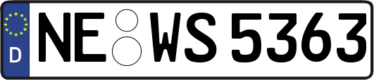 NE-WS5363