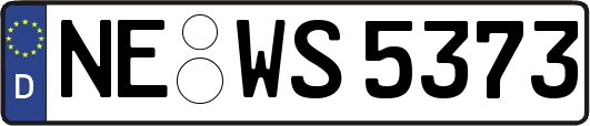 NE-WS5373