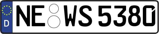 NE-WS5380