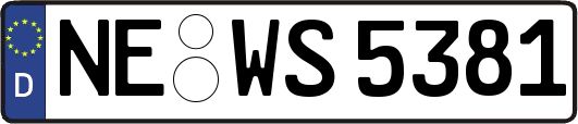 NE-WS5381