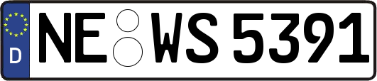 NE-WS5391