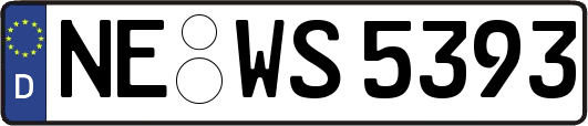 NE-WS5393
