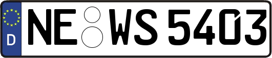 NE-WS5403