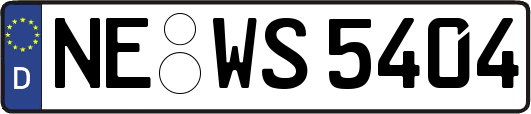 NE-WS5404