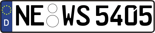 NE-WS5405