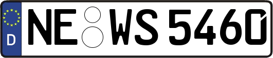 NE-WS5460