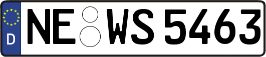 NE-WS5463