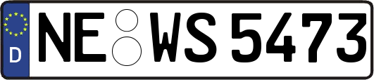 NE-WS5473