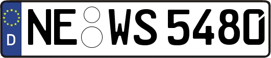 NE-WS5480