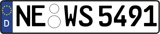 NE-WS5491