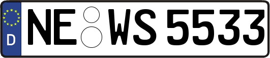 NE-WS5533