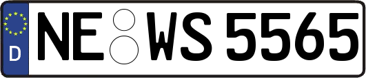 NE-WS5565