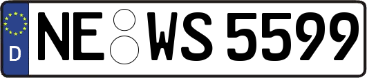 NE-WS5599